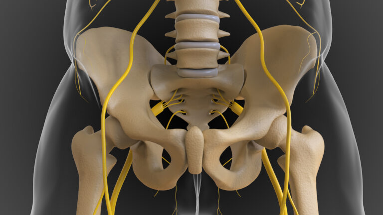 Pericapsular Nerve Group